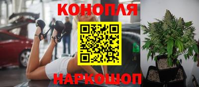 ПСИЛОЦИБИНОВЫЕ ГРИБЫ Кингисепп