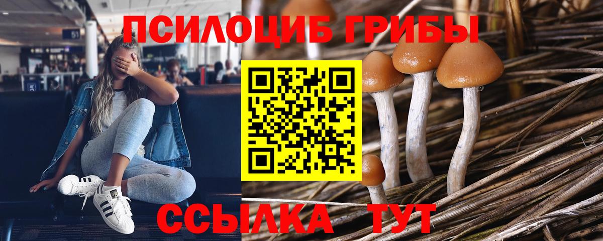 Меф кристаллы  ГАШ  НБОМе  Химки  Вход с VPN  МАРИХУАНА  Cocaine 