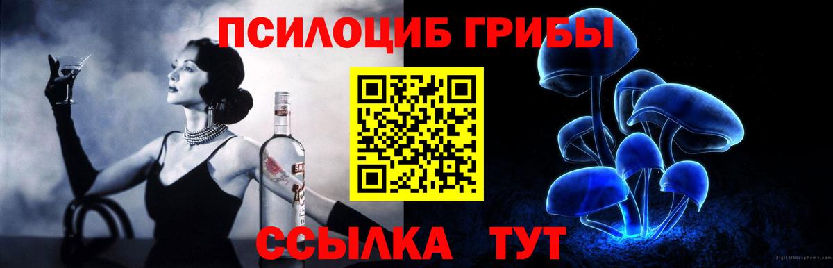 Химки  Галлюциногенные грибы Psilocybine cubensis  Вход с VPN 